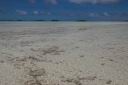 2009-11-02 at 11-04-29.jpg
